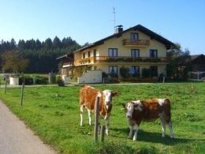 Bild-Urlaub auf dem Bauernhof, Langlhof, Breitbrunn am Chiemsee