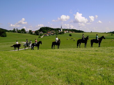 Bild-10  Urlaub auf dem Bauernhof, Fürstnerhof, Rimsting