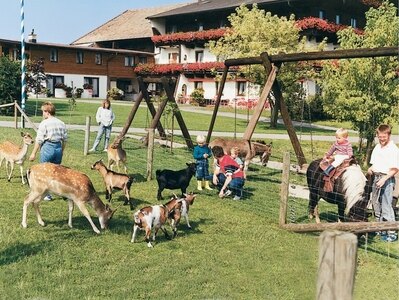 Bild-2  Urlaub auf dem Bauernhof, Hanznhof, Bernau am Chiemsee