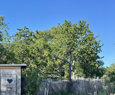 Bild Weyererhofstellplatz-1-laubenstein-5608