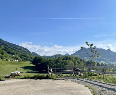 Bild Weyererhofstellplatz-6-heuberg-5618