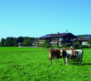 Restner Inzell
