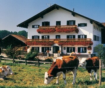 Bild-Urlaub auf dem Bauernhof, Scheckhof, Prien am Chiemsee