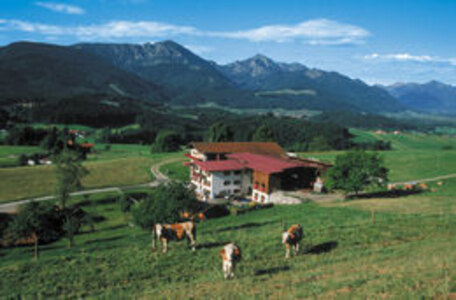 Bild-Urlaub auf dem Bauernhof, Ferienparadies Daxlberger Hof, Siegsdorf