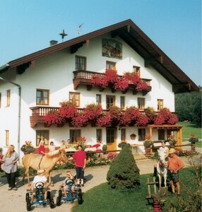 Bild-Urlaub auf dem Bauernhof, "Bertlhof", Chieming