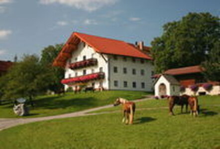 Bild-Enzian 65 qm Urlaub auf dem Bauernhof, Langhof, Rimsting
