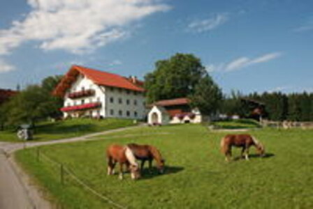 Bild-Edelweiß 60 qm Urlaub auf dem Bauernhof, Langhof, Rimsting