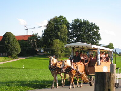Bild-13  Urlaub auf dem Bauernhof, Fürstnerhof, Rimsting