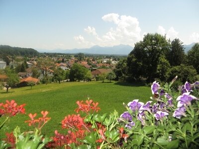 Bild-2  Urlaub auf dem Bauernhof, Widernhof, Prien am Chiemsee