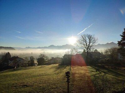 Bild-4  Urlaub auf dem Bauernhof, Widernhof, Prien am Chiemsee