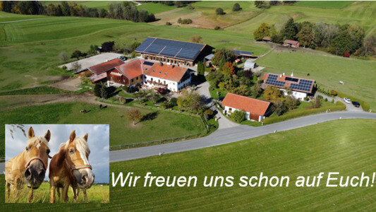 Bild-5  Urlaub auf dem Bauernhof, Fürstnerhof, Rimsting