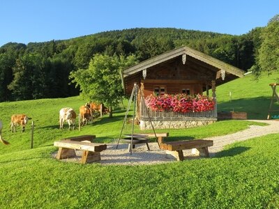 Bild-1  Ferienwohnung, Schleipfnerhof am Chiemsee, Bernau am Chiemsee