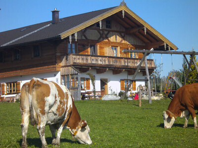 Bild-Urlaub auf dem Bauernhof, Moierhof Söffl Rimsting, Rimsting