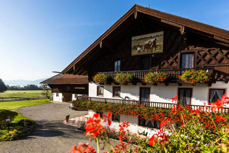 Bild-1  Urlaub auf dem Bauernhof, Ferienwohnungen Keilhof, Seeon/Seebruck