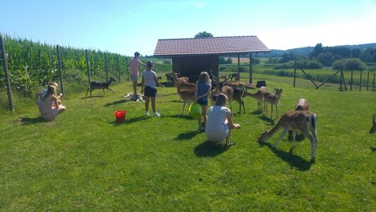 Bild-4  Urlaub auf dem Bauernhof, Karlshof, Seeon/Seebruck