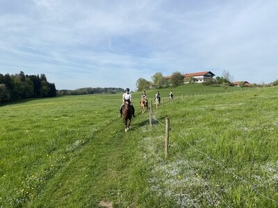 Bild-3  Urlaub auf dem Bauernhof, Fürstnerhof, Rimsting