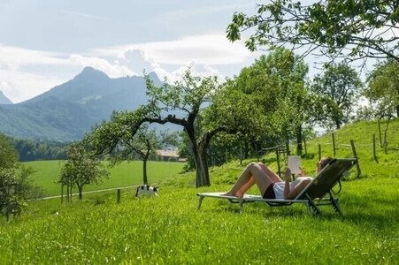 Bild-3  Urlaub auf dem Bauernhof, Nudlbichlerhof, Samerberg