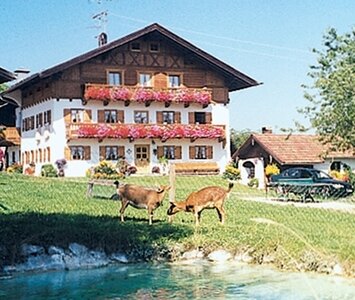 Bild-Urlaub auf dem Bauernhof, Thalerhof, Bernau am Chiemsee