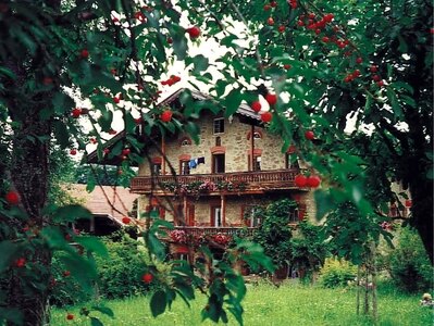 Bild-1  Urlaub auf dem Bauernhof, Talerhof, Samerberg